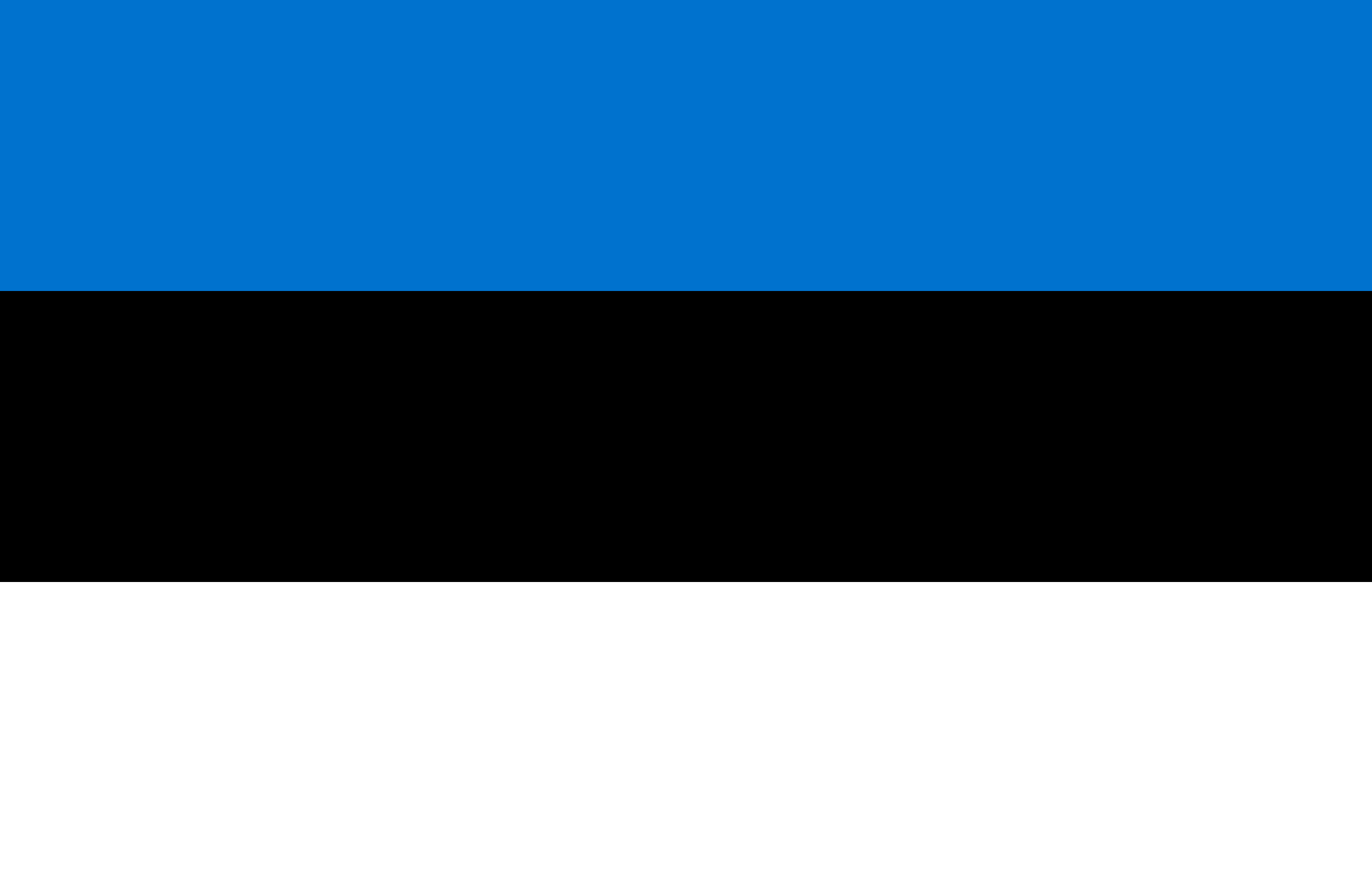 Blog Living for a year in Estonia Description